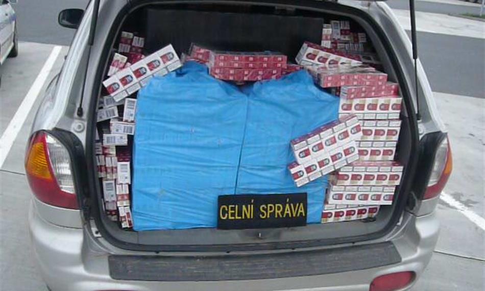 2010-11-11-1449foto 2.JPG